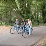 度假居 Recreatiepark De Wielerbaan